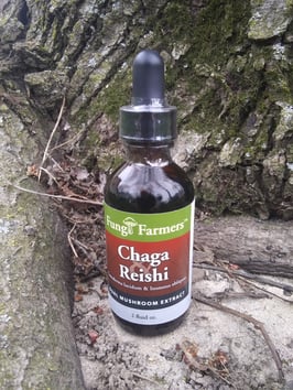 Chaga & Reishi Mushroom Tincture