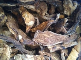 Dried Porcini Mushrooms