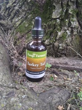 Turkey Tail Tincture