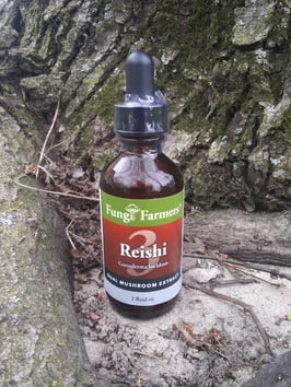 Reishi 3  Mushroom Tincture