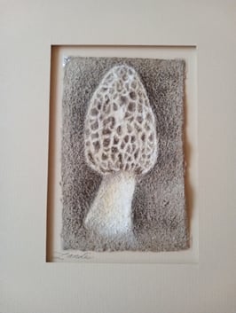 Morel