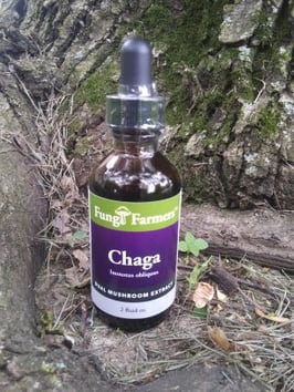 Chaga Mushroom Tincture