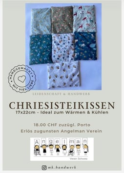 Chriesisteikissen von Monika