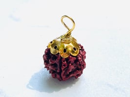 Anhänger Rudraksha Nepal