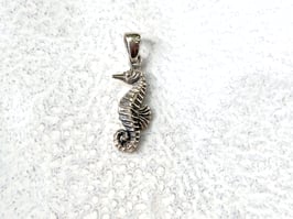 Anhänger Seepferdchen Silber