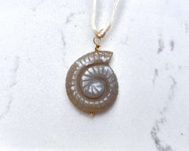 STRANDGLÜCK Kette Achat Muschel