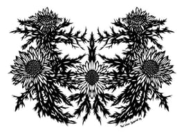 Scherenschnittkarte Distel