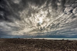 Boulder Bank, Nelson Haven