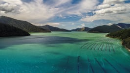 Nydia Bay, Marlborough Sounds
