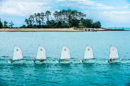 The Optimistic 5, Nelson Haven