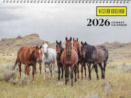 COWBOY KALENDER wh 2026 AUSVERKAUFT
