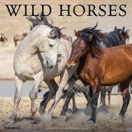 WILD HORSES KALENDER 2026