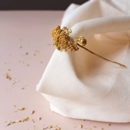 Linen Off White (lin)