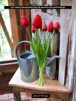 Botte de 4 grosses tulipes et 3 boutons Rouge