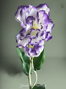 Branche de Lisianthus