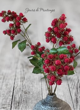 Branche de Mûres rouges