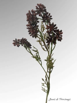 Branche de Sedum Album 42 cm