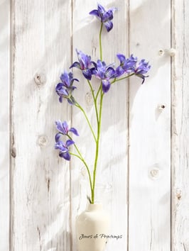 Tige de Mini Iris 108 cm