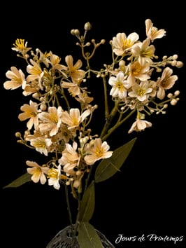 Branche de fleurettes champêtres beiges