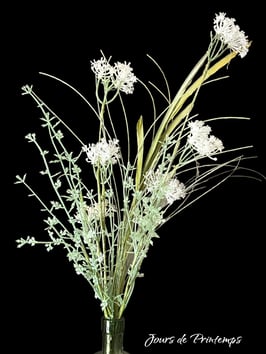 Bouquet champêtre  Blanc