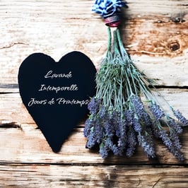 Botte de 15 Brins de Lavande 60 cm