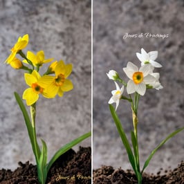Branche de Mini Narcisse 33 cm