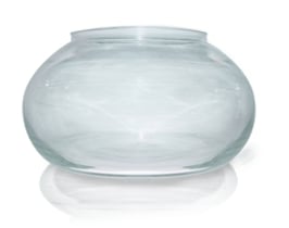 Wasserschale zu Classic Revitalizer   120017038