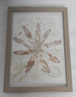 Ecoprint sur papier Estampe