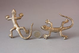 Salamander Schrankgriff 10cm | Gecko Door Pull For Chest Of Drawers