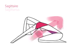 Lot de trois cartes : les Signes de feu