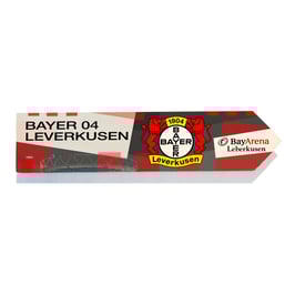 Leverkusen, Bayer 04 Leberkusen