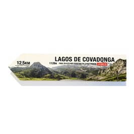 Lagos Covadonga, Vuelta ciclista a España