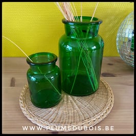 Vintage lot de 2 bocaux à pharmacie, verts