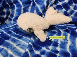 Spieluhr Wal teddy manchester