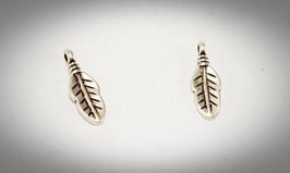 2er Set/ Annäher, Feder