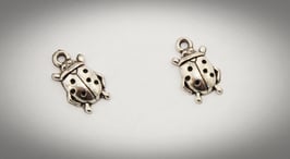 2er Set / Annäher, Marienkäfer