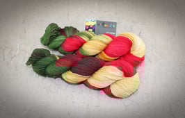 Merino High Twist 6fach von Atelier Zitron 150g, Strang des Monats "Weihnachtszauber"