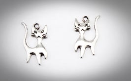 2er Set / Annäher, Katze