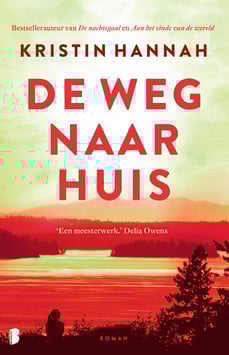 De weg naar huis - Kristin Hannah