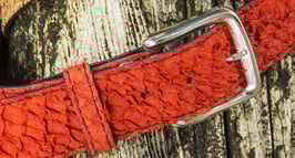 RED PERCH - LIMITED EDITION