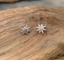 Ohrstecker Edelweiss klein Silber 925