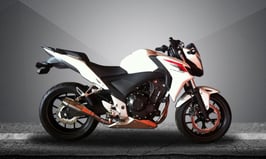 FIRETONG CB600F HORNET 05-07 FLAME SLIP-ON