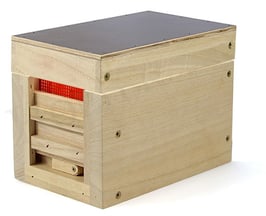 BIENENPATENSCHAFT BEGATTUNGSVOLK