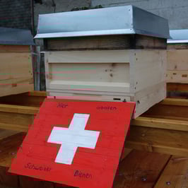 BIENENPATENSCHAFT JUNGVOLK