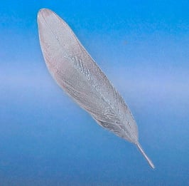 F 2 Medium Feather Bar Pin