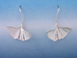 Long Stem Ginkgo L 4 LS