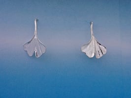 Delicate Ginkgo Leaf