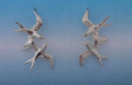 Double Swallow Earrings  SW 2 FW