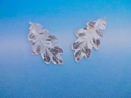Medium Oak Leaf  Stud Earring - L 8 A ER