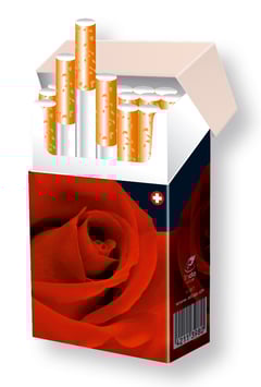 indo slipp CH 008 > Rose